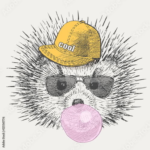 cute hedgehog in the hat and sunglasses inflates bubble chewing