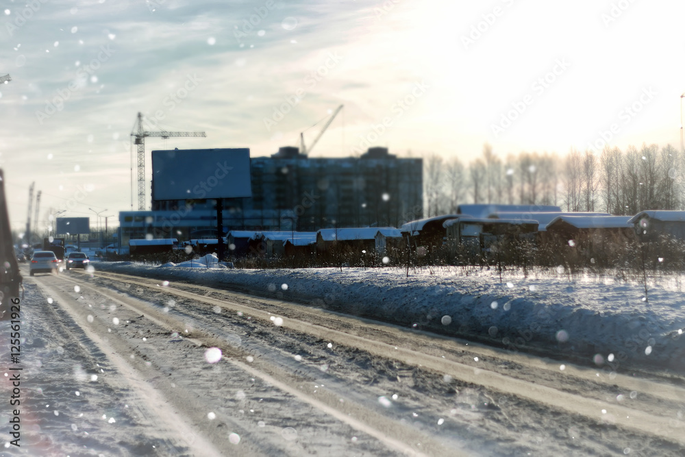 Fototapeta premium lanscape alley tree winter