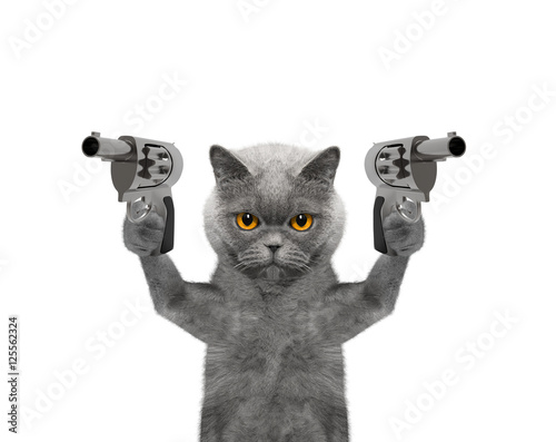 Fototapeta Naklejka Na Ścianę i Meble -  Cat with guns is murderer