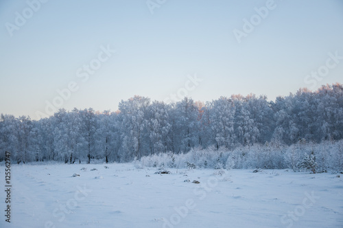 winter landscape © Valerii