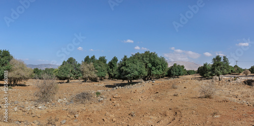 Tableau sur toile Nature Landscape in the Golan Heights