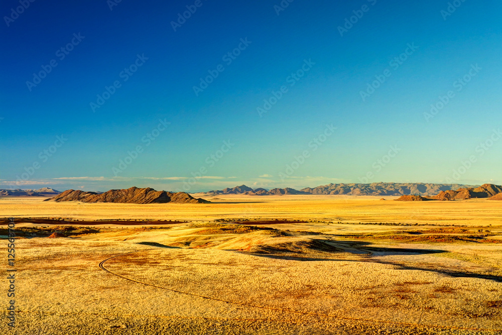 Panorama of Petrified dunes at the sunset in Namib desert, Namibia