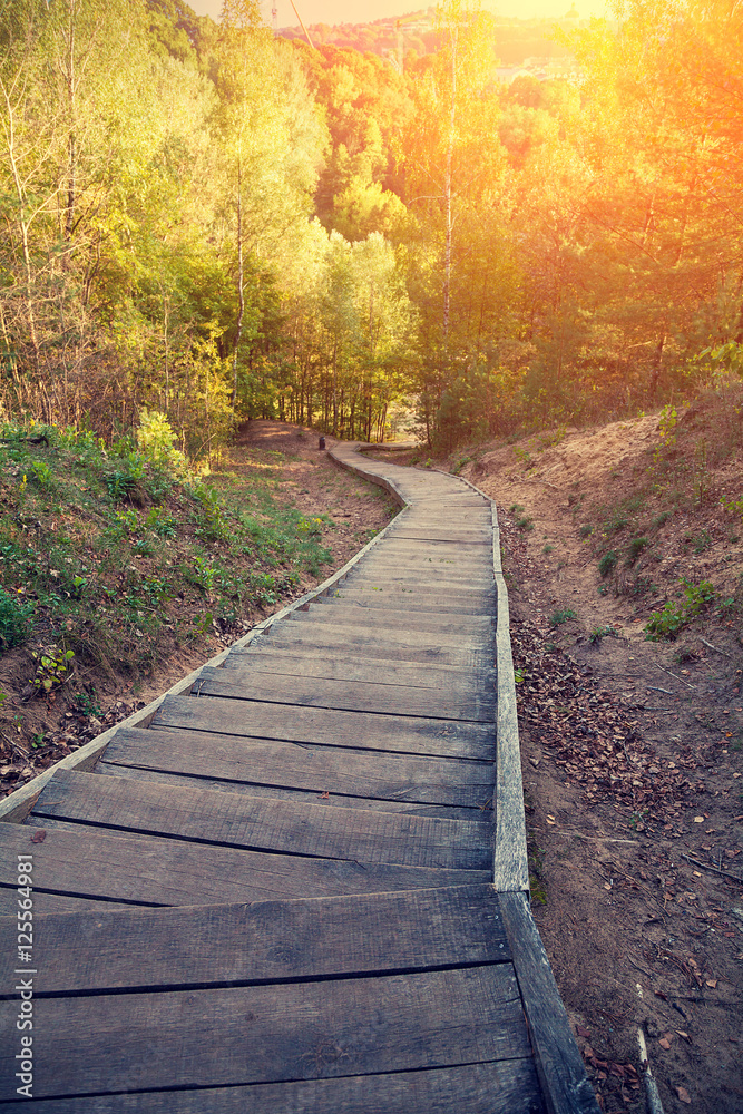 Composition with wooden pathway in the park at sunset Composition with wooden pathway in the park at sunset