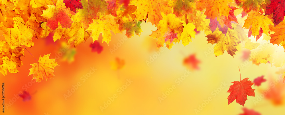 Autumn abstract background with falling leaves Autumn abstract background with falling leaves