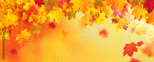 Autumn abstract background with falling leaves