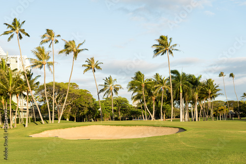 Golf course in tropical island © Uladzik Kryhin
