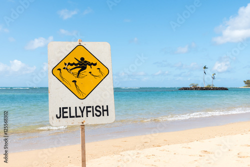 Jellyfish warning sign on the beach