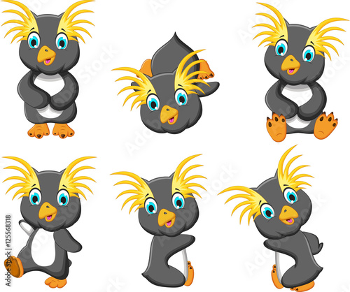 Fototapeta Naklejka Na Ścianę i Meble -  king penguins cartoon set character