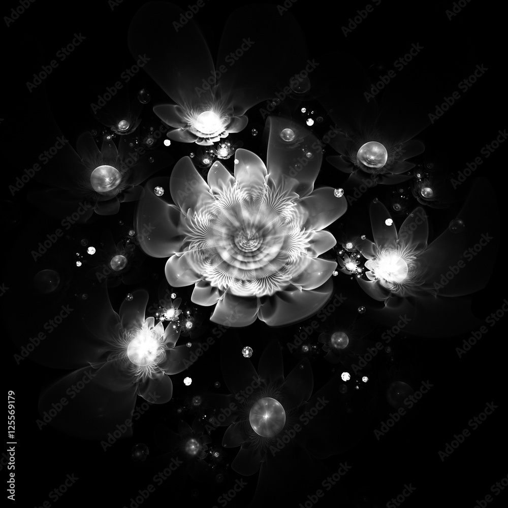 Abstract monochrome flowers on black background. Fantasy black and ...