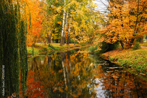 Autumn Landscape