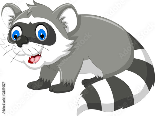 raccoon cartoon for you design