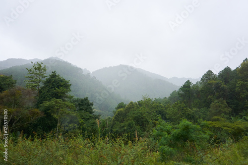 mountain view along the road  cloudy sky