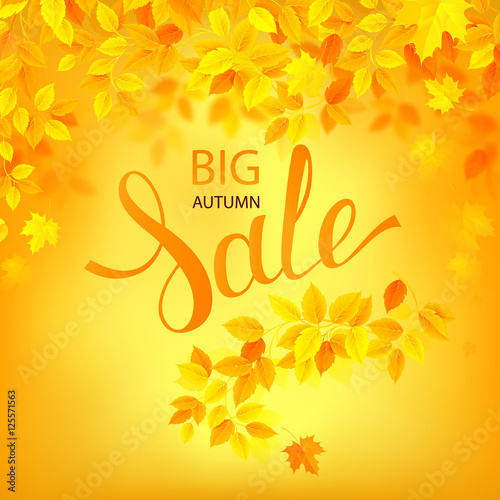 Autumn Big Sale lettering on a bright orange background. Decorated by autumn branch with season leaves.
