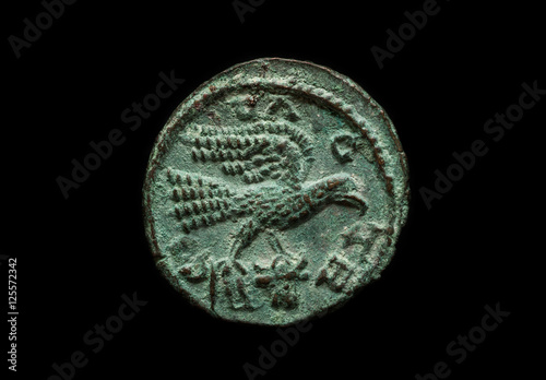 Εκτύπωση καμβά Ancient provincial roman coin with bird image