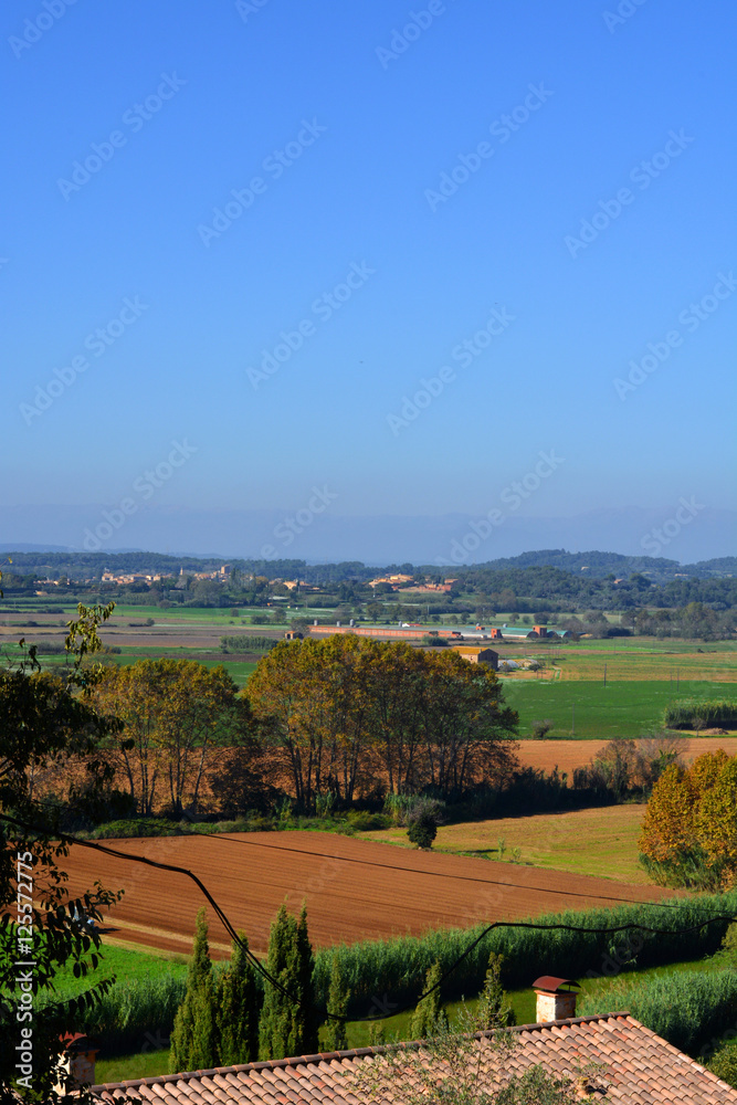 landscape of crops agricultural