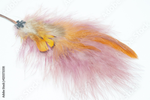 Bohemian boho style vintage color trends  Chicken feather texture background