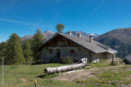 Prader Alm, Vinschgau, South Tyrol, Italy photo