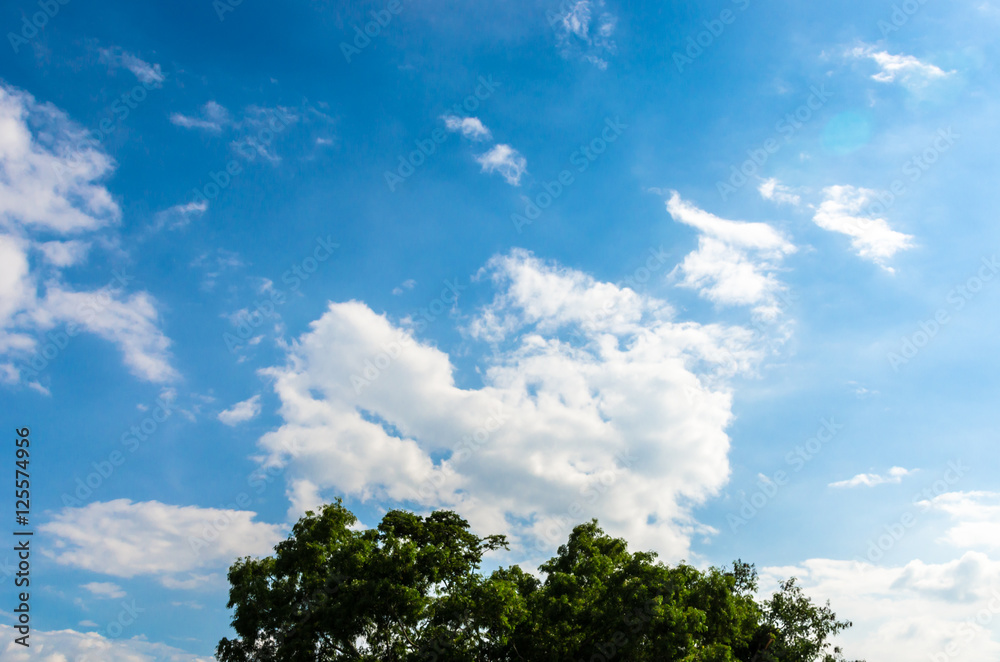 Tree top with clouds in blue sky background Tree top with clouds in blue sky background
