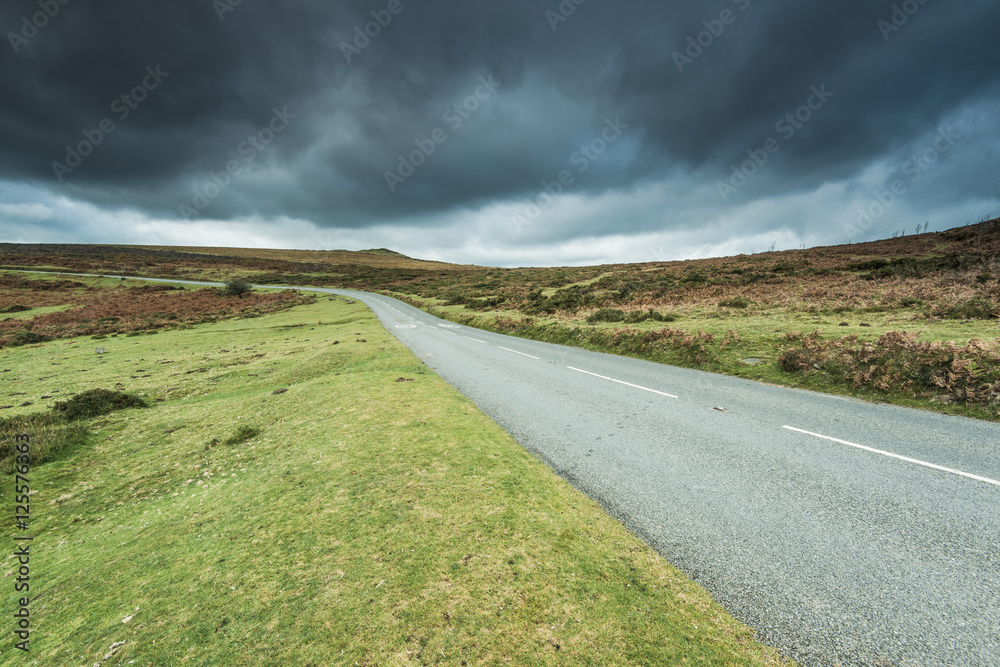 empty road ahead in wilderness