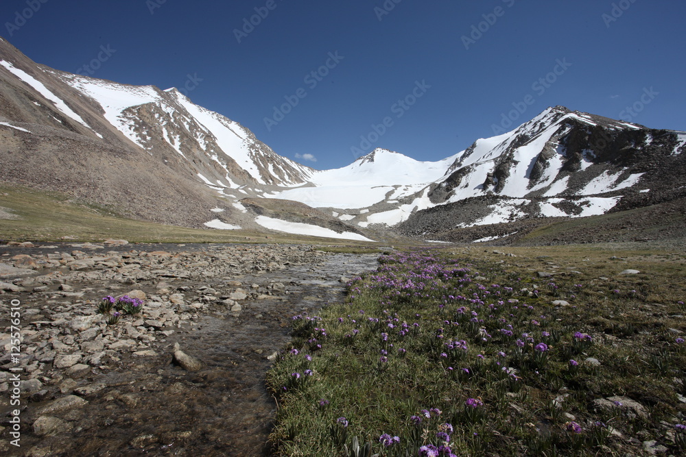 Pamir region Russian Federation Central Asia mountain landscapes