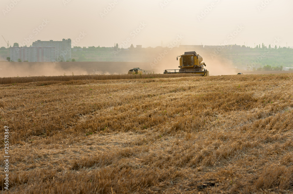 Naklejka premium Yellow modern combine harvester in work, at end of summer.