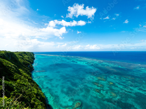 Blue coral reef in the South Island