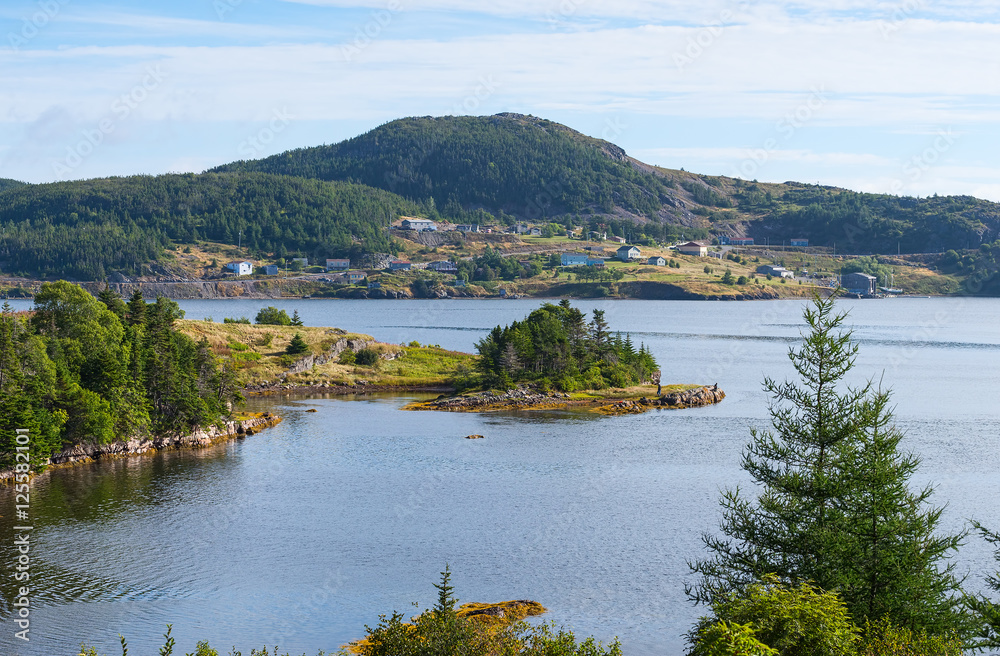 Homes with ocean view near Trinity in Newfoundland