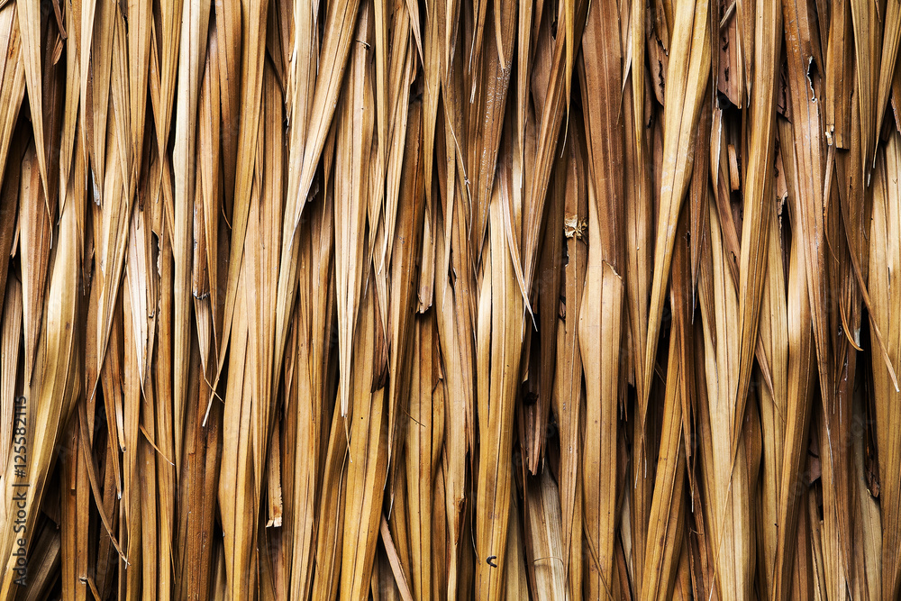 Brown Withered grass for background and texture Brown Withered grass for background and texture