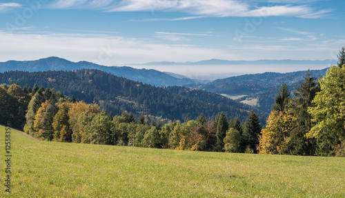 Black Forest Panorama