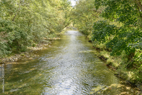 Wutach river among trees, Germany