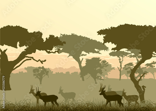 Silhouette of a gazelle, trees and bushes on a background of the African desert