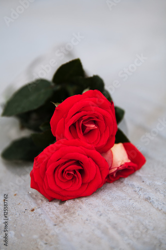 red roses on a wooden Board
