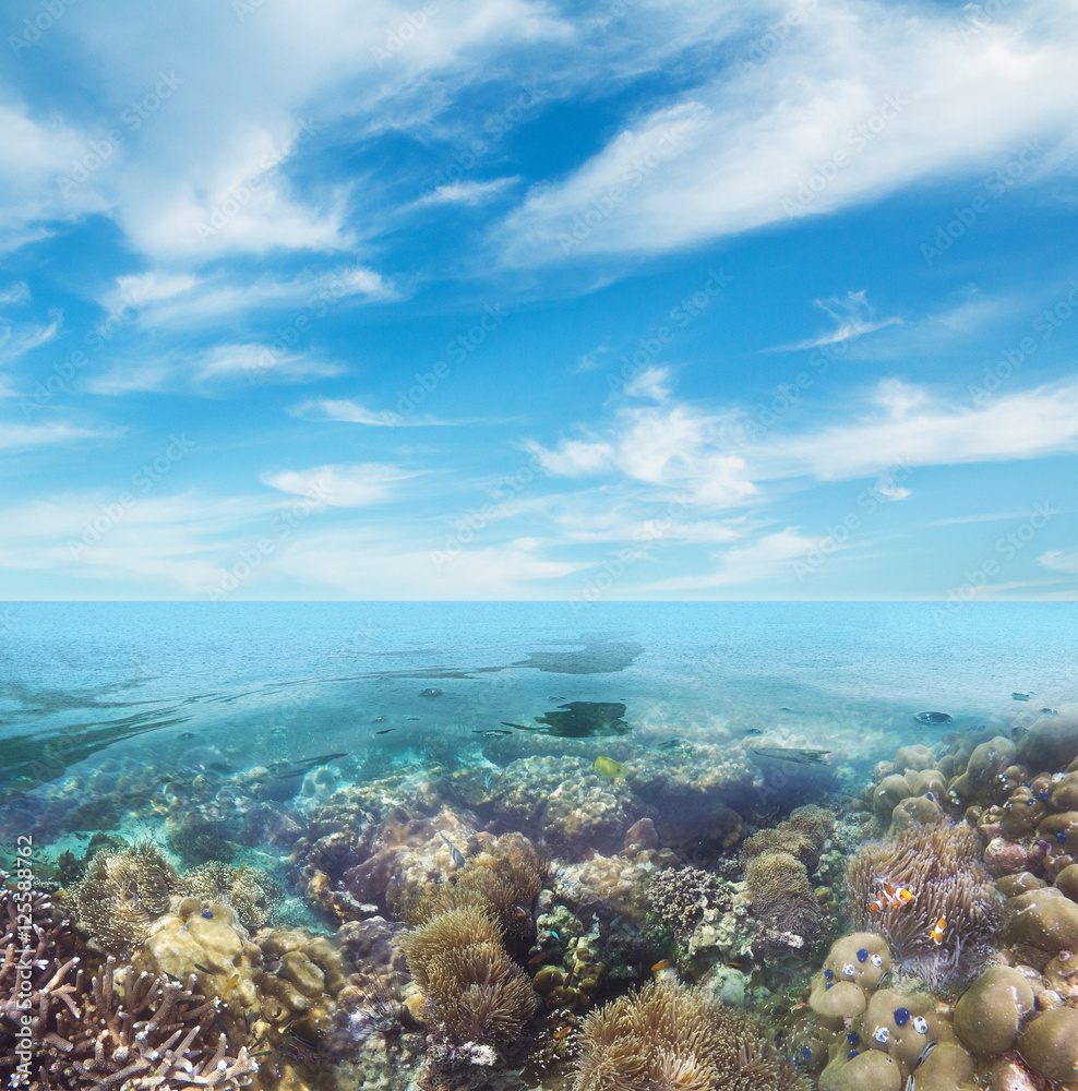 Fototapeta premium Underwater coral reef seabed view with blue sky clouds