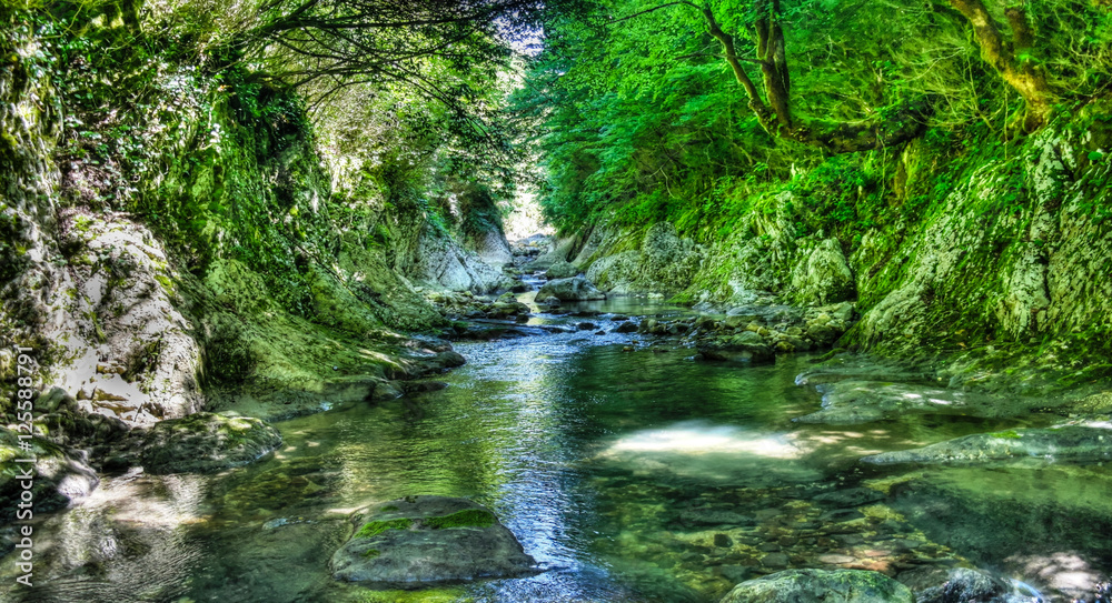 Panorama of Green canyon of Machara river, Abkhazia Panorama of Green canyon of Machara river, Abkhazia