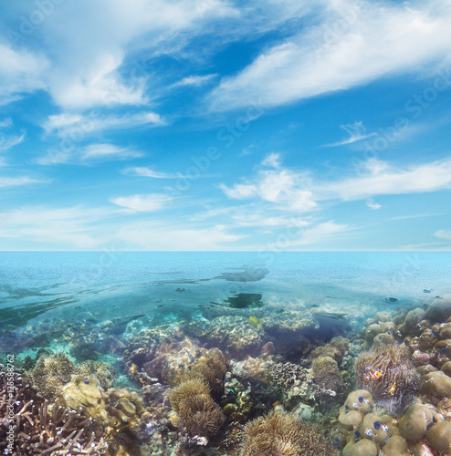Underwater coral reef seabed view with blue sky clouds