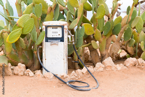 Alte Tankstelle vor Kakteen  Solitaire  Namibia