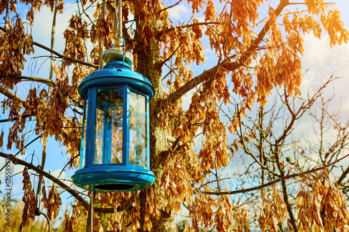 Blue - green lantern on the tree, orange leaves in background. Selective focus