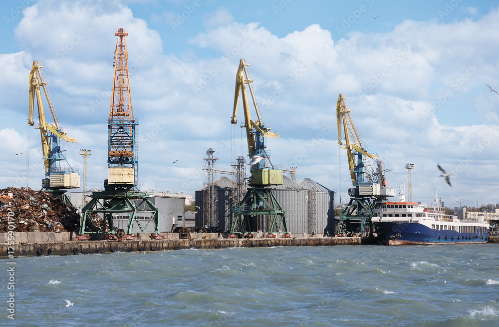 Cargo cranes in the sea port