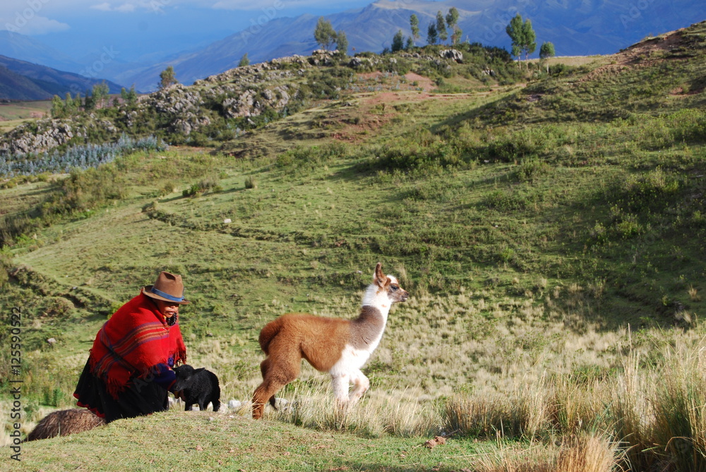 Peru peasant and llama in landscape