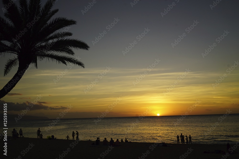 Fototapeta premium ハワイの夕暮れ
