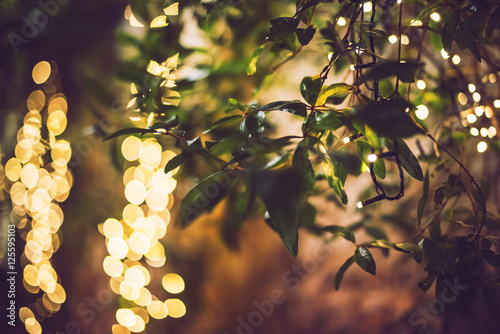 decoration light christmas celebration hanging on tree, abstract