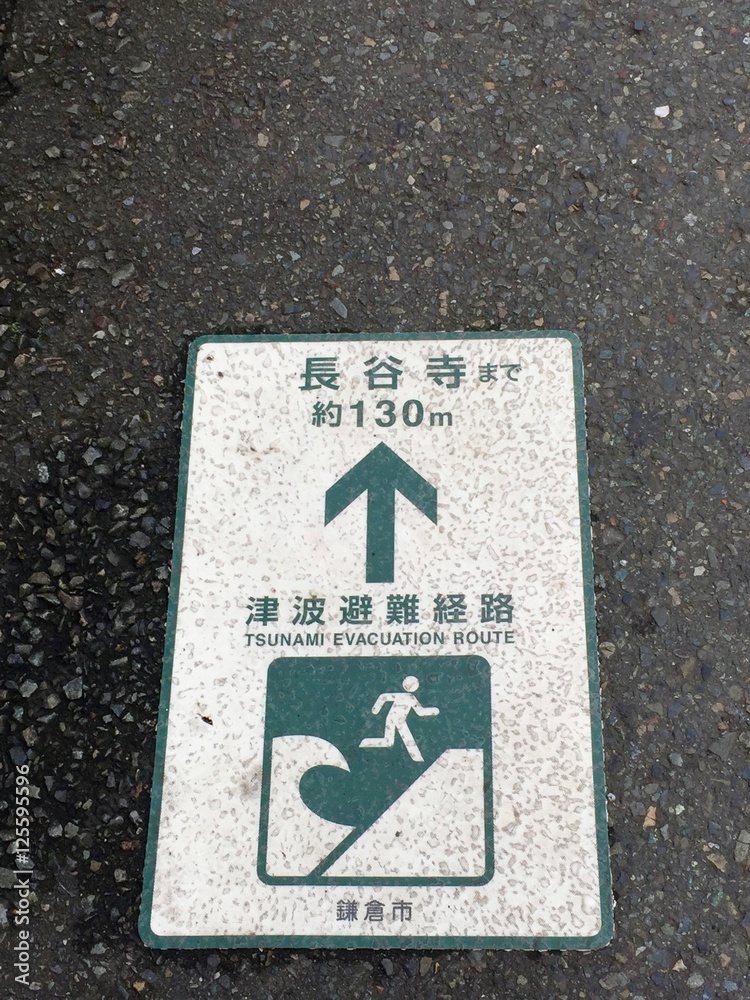 Naklejka premium Tsunami warning sign