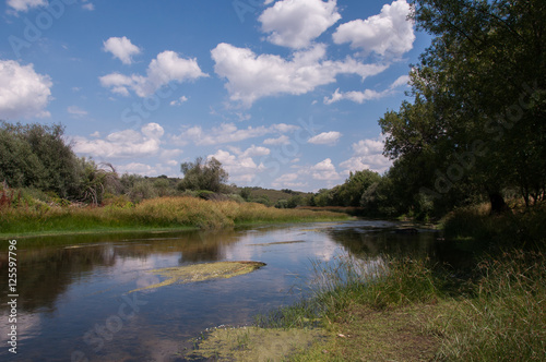 Río tranquilo