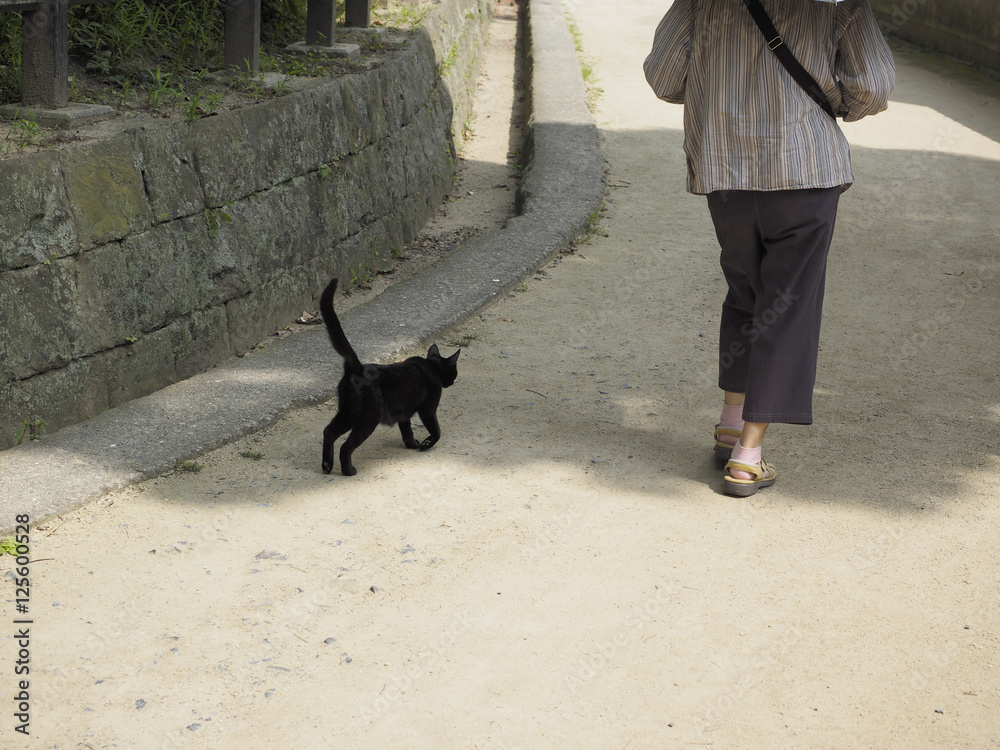 街角の黒猫