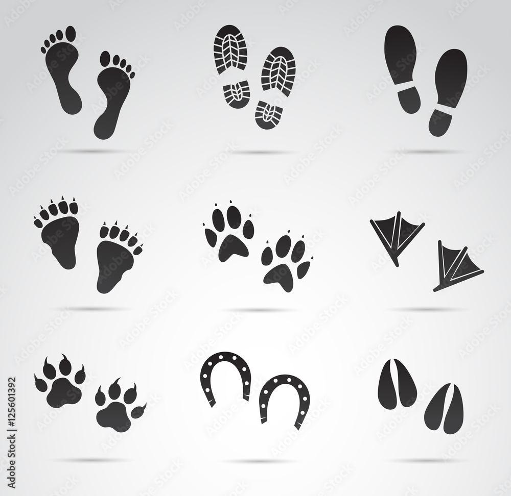 Human and animal footprints vector icon set.