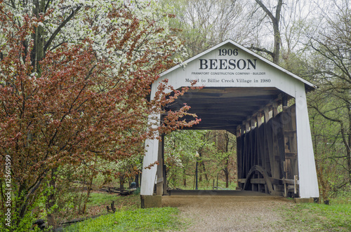 610-22 Beeson Covered Bridge in Spring photo