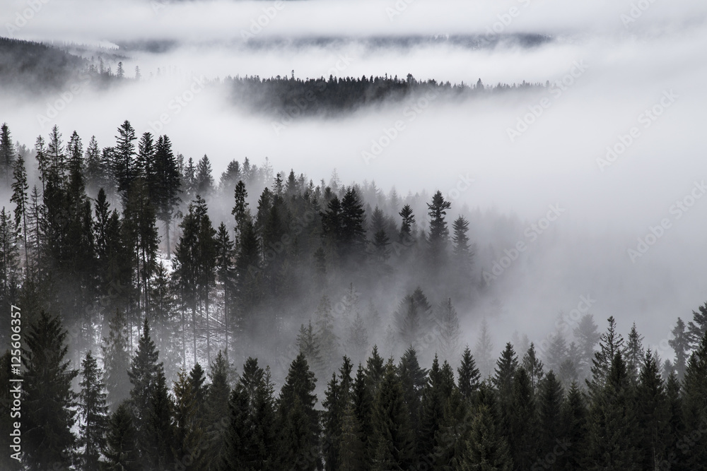 Tatra mountains in winter, landscape - obrazy, fototapety, plakaty 