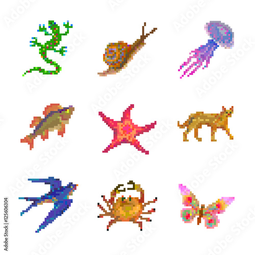 Pixel art picture with a lizard, a snail, a jellyfish, fish, a starfish, a hyena, a swallow, a crab and a butterfly (ID: 125606304)