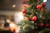 Christmas tree background - Soft focus, Background