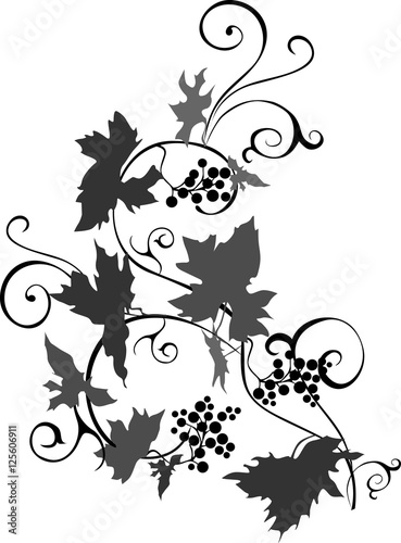 Vine